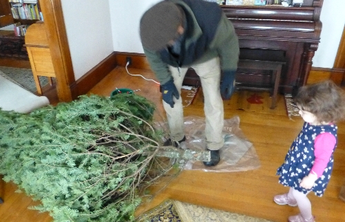 mindsalvage-com-christmastree2