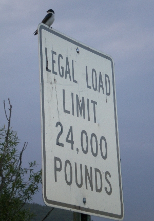 mindsalvage-com-bird-on-sign