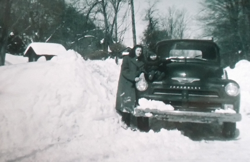 mindsalvagecarinsnowcavendish