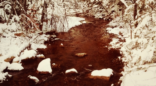 mindsalvage.comIcyRiverAmbush